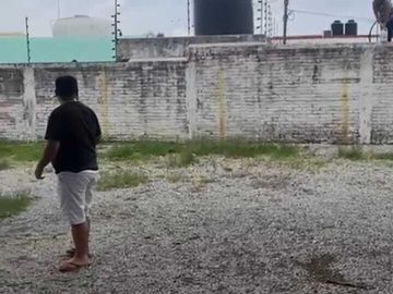 place photo 33