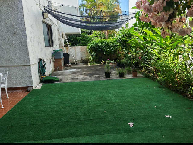 place photo 32