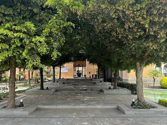 place photo 16