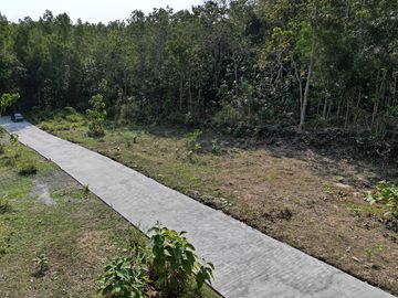 place photo 6