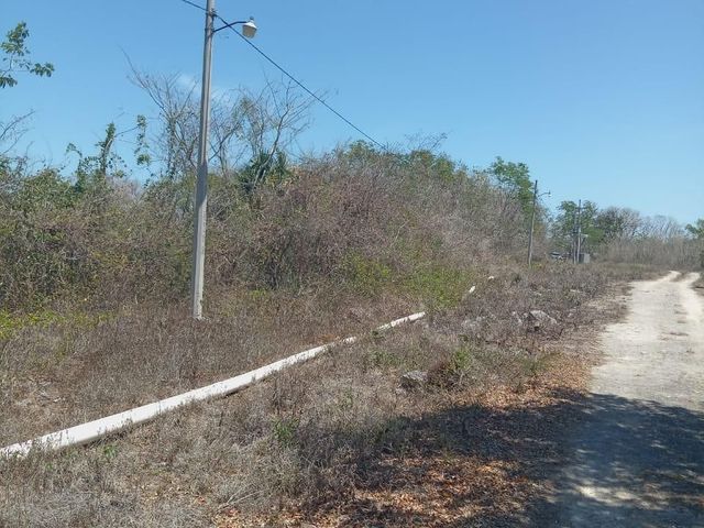 place photo 5