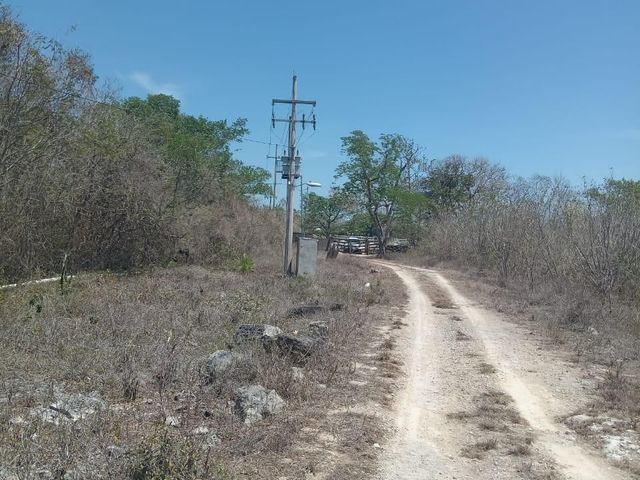 place photo 3