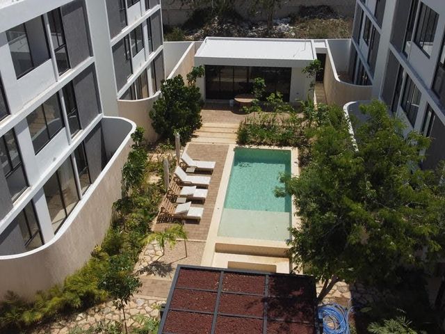place photo 16