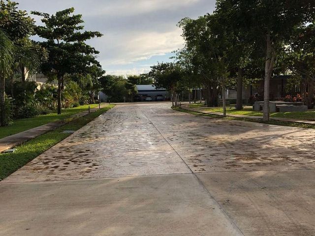 place photo 19