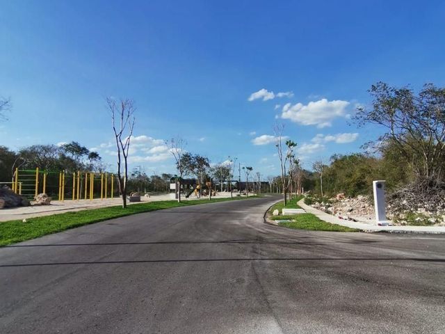place photo 17