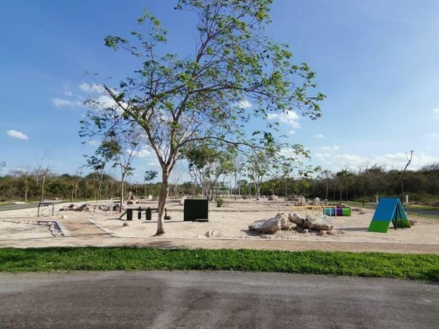 place photo 15