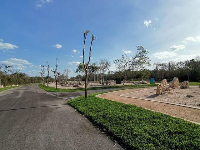 place photo 21