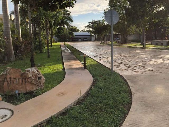 place photo 15