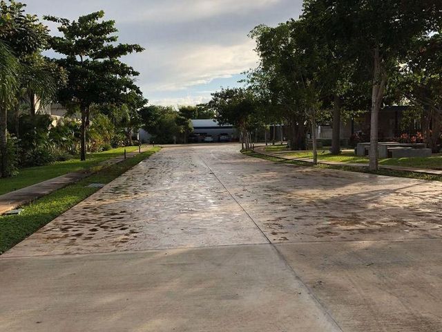 place photo 19