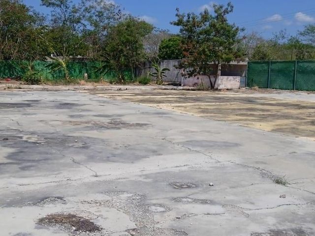 place photo 10