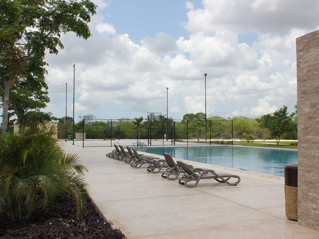 place photo 37