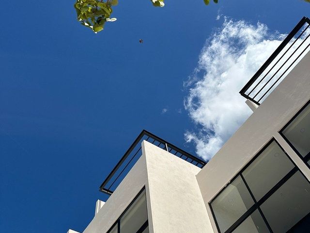 place photo 47