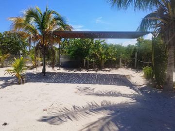 place photo 16