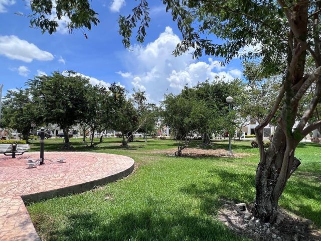 place photo 19