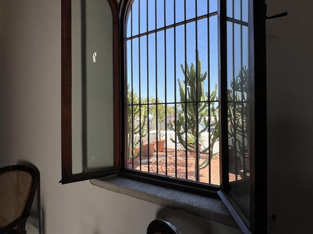 place photo 50