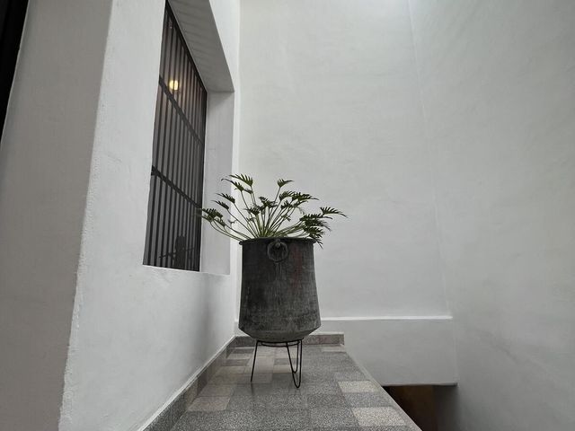 place photo 37