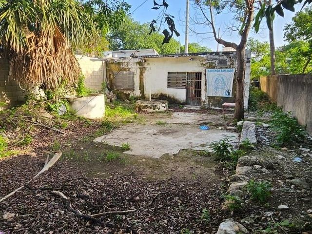 place photo 11