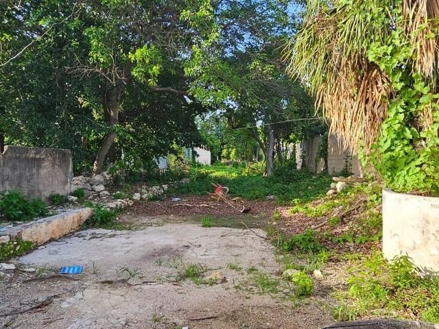 place photo 8