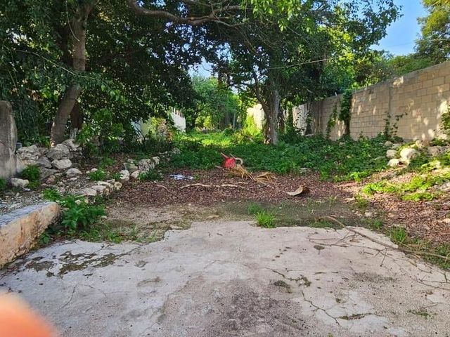 place photo 9