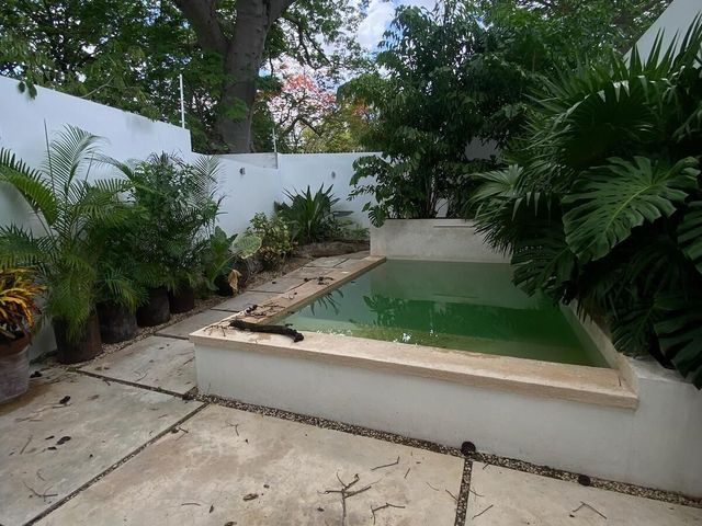 place photo 30