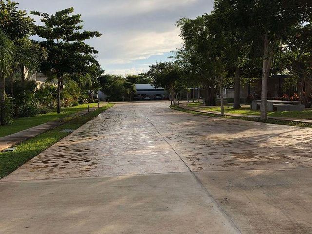 place photo 17