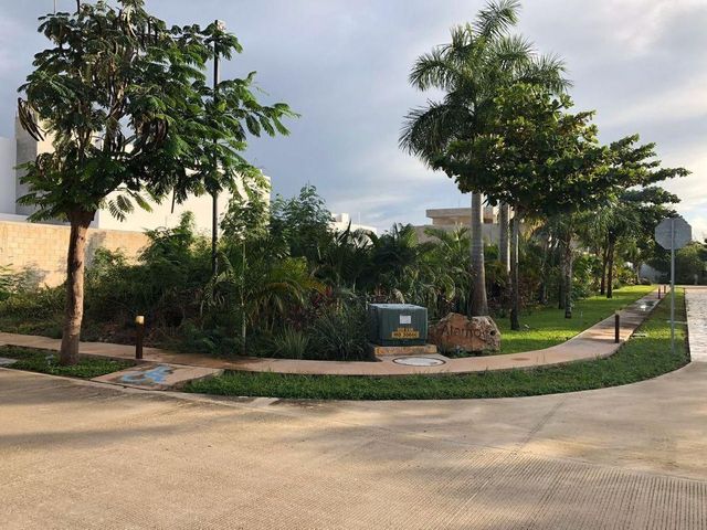 place photo 15
