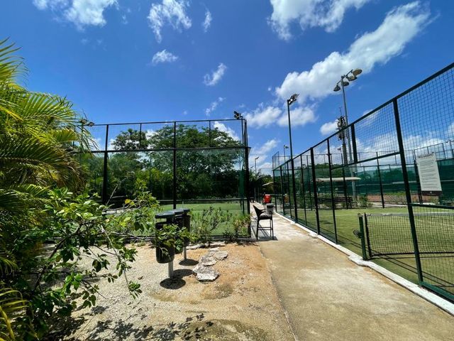 place photo 38