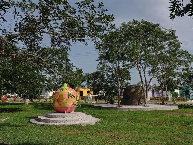 place photo 40