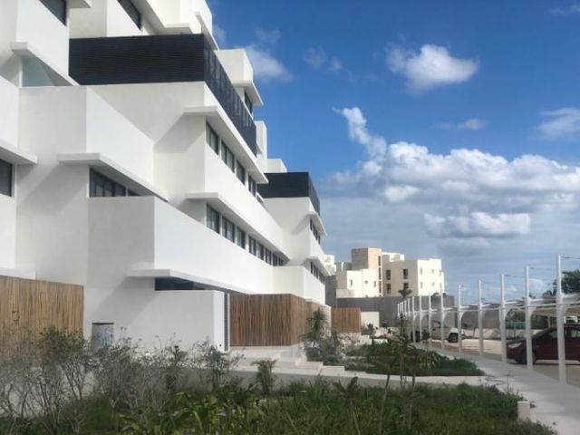 place photo 24