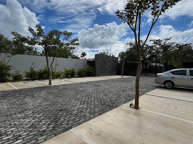 place photo 38