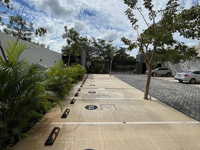 place photo 29