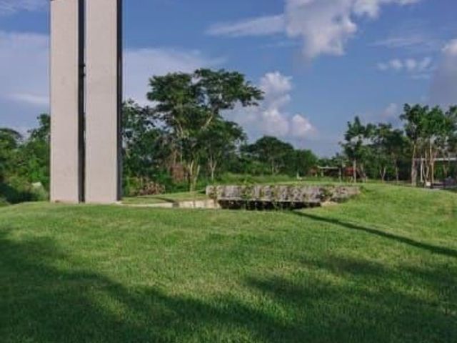 place photo 42