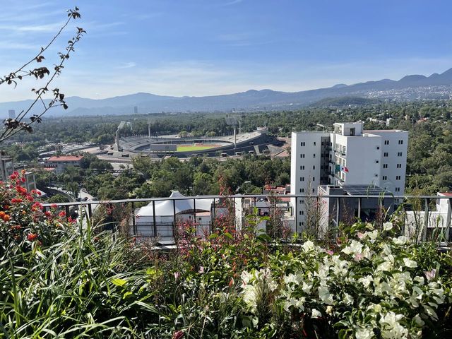place photo 29