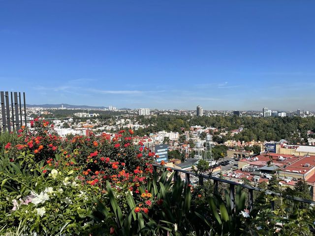 place photo 18