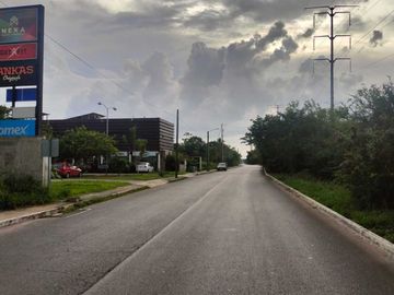 place photo 12