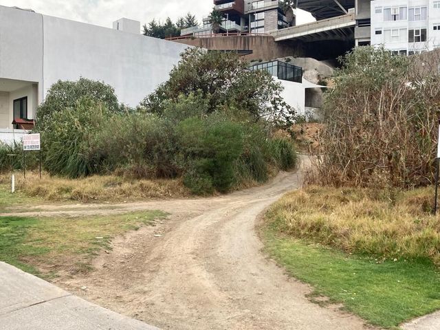 place photo 38
