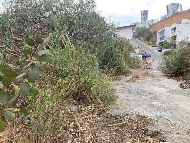 place photo 15