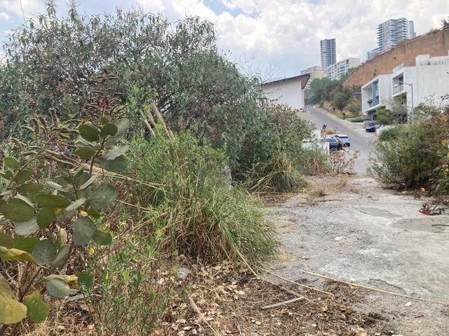 place photo 14