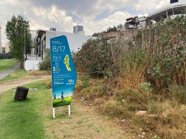 place photo 41