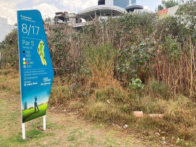 place photo 45