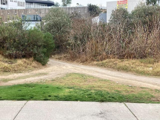 place photo 39