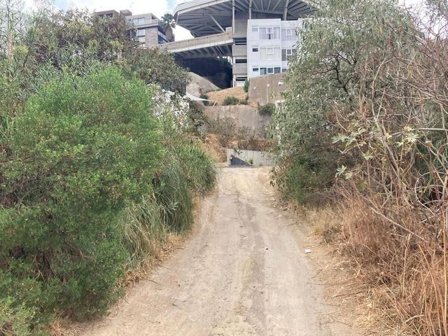 place photo 29