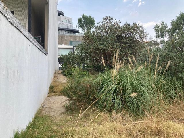 place photo 31