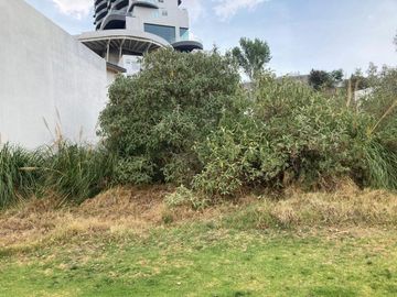 place photo 37