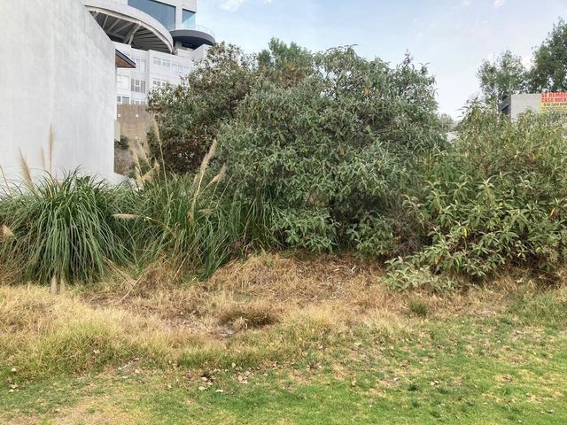 place photo 36