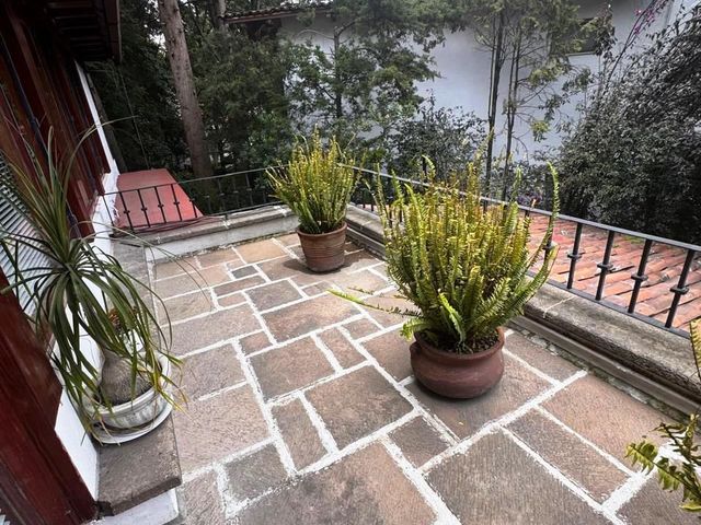 place photo 36