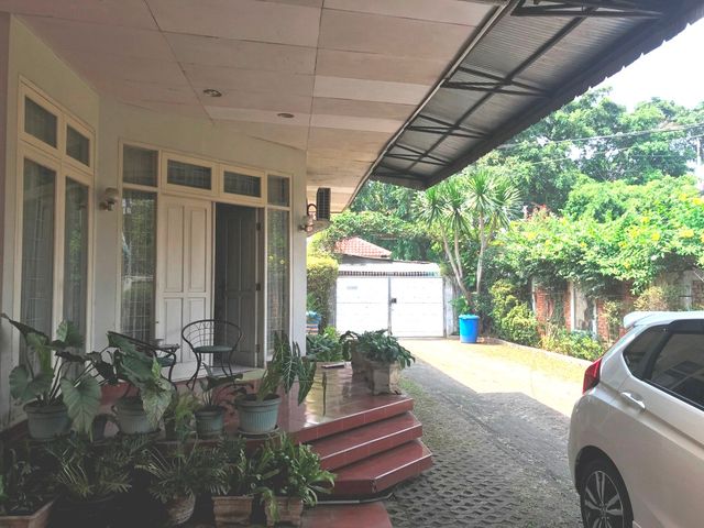 place photo 23