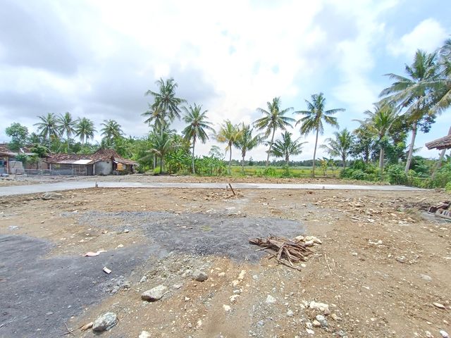 place photo 8