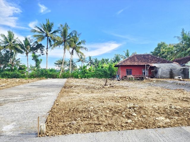 place photo 3
