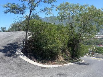place photo 16